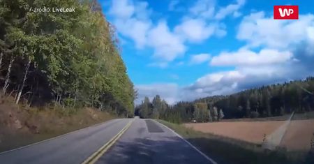 Wybiegł wprost pod auto. Porażające nagranie świadka