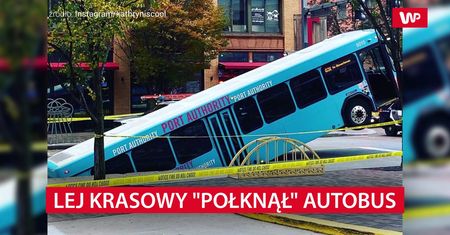 Kierowca stanął na światłach. Już z nich nie ruszył