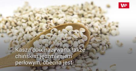 Pyszna kasza coix