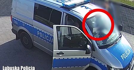 Trzylatka straciła przytomność. Błyskawiczna reakcja lubuskich policjantów