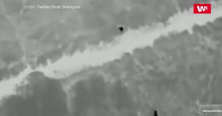 Dwoje imigrantów utknęło na bagnach. Nagranie z granicy z Białorusią