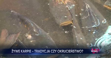 Tak wygląda sprzedaż ryb na Święta. Barbarzyński proceder na targu
