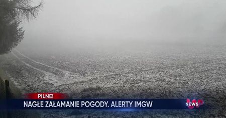 WP News wydanie 17.01, godzina 16:50