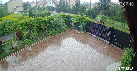 Uciekał z kucem przez miasto. Teraz szuka go Policja