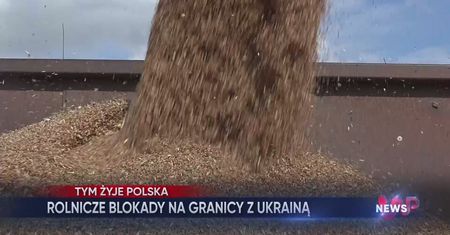 WP News wydanie 20.02, godzina 16:50