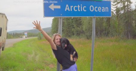 "Halo Polacy". Przemierzają trasę Pan-American Highway. "Czas leci przez palce"