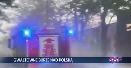 WP News wydanie 20.05, godzina 16:50