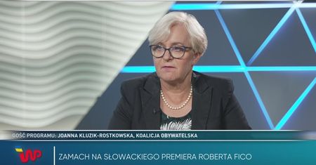 Tłit - Joanna Kluzik-Rostkowska