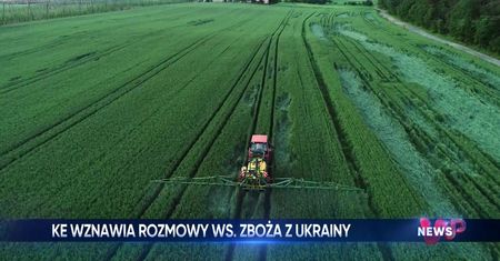 WP News wydanie 24.04, godzina 11:50