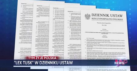 WP News wydanie 31.05, godzina 11:50