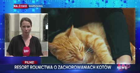 WP News wydanie 05.07, godzina 11:50