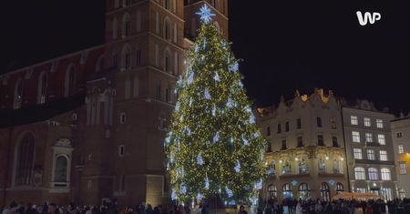 Najpiękniejsza choinka na świecie. Znajduje się w polskim mieście