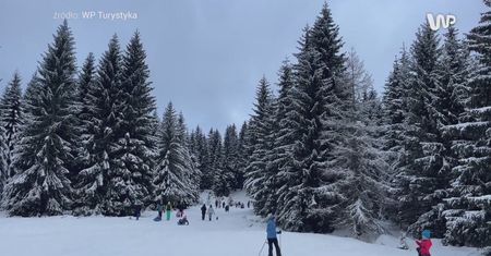 Największe błędy turystów. "Sygnał bardzo kłamliwy"