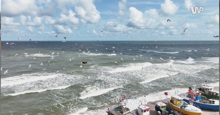 Ile Polacy wydają nad morzem? W tej cenie można mieć pobyt all inclusive w Turcji
