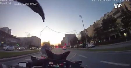Policyjny pościg ulicami Krakowa. Sceny jak z filmu akcji