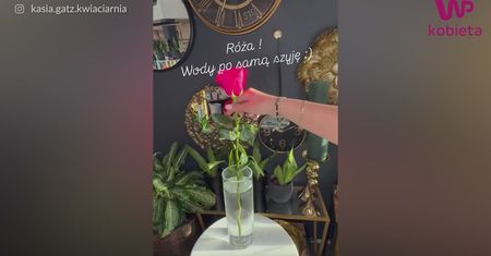 Ile wody potrzebują kwiaty? Odpowiedź może zaskakiwać