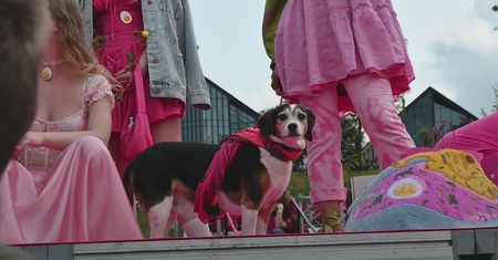 Niesamowite, co działo się w Wilnie. "Najbardziej szalony i różowy festiwal"