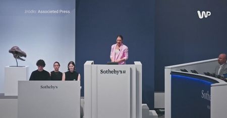 To największy kawałek Marsa na Ziemi. Nie uwierzysz ile kosztuje