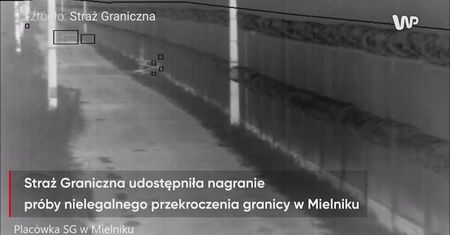 Próbowali nielegalnie przekroczyć granicę. Zostali złapani