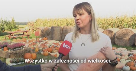 Z jakiej dyni zrobisz zupę krem i deser? Jest jedna pyszna odmiana