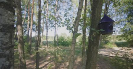Dom na palach za 100 tys. zł. 35 m² i tarasy tej samej wielkości