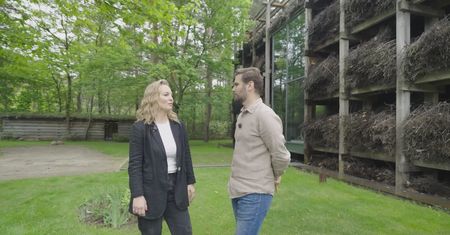 Dom z prywatną tężnią. Jak działa „kostka” 10 x 10 i 6 m wysokości?