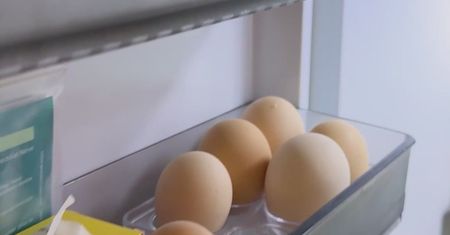 Jak przechowywać jajka? Większość osób robi to źle