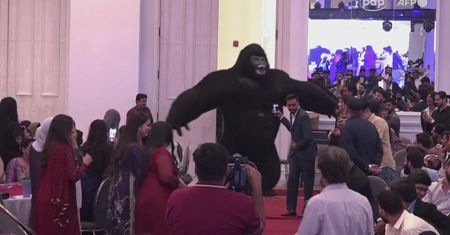 Nagrania hitem sieci. W Pakistanie imprezowicze oszaleli na jego punkcie