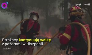 Morze ognia i walka z czasem. Nadciąga kolejna fala upałów w Hiszpanii