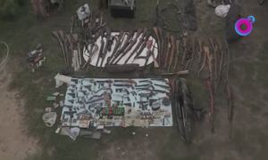 Odkryli plantację i prawdziwy arsenał. Policja pokazała nagranie