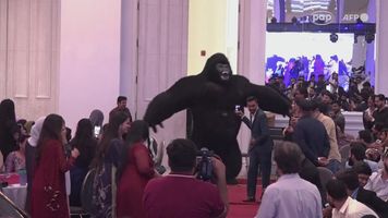 Nagrania hitem sieci. W Pakistanie imprezowicze oszaleli na jego punkcie