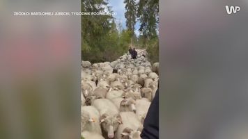 Przeszły ich tysiące. Wyjątkowe święto w polskim uzdrowisku