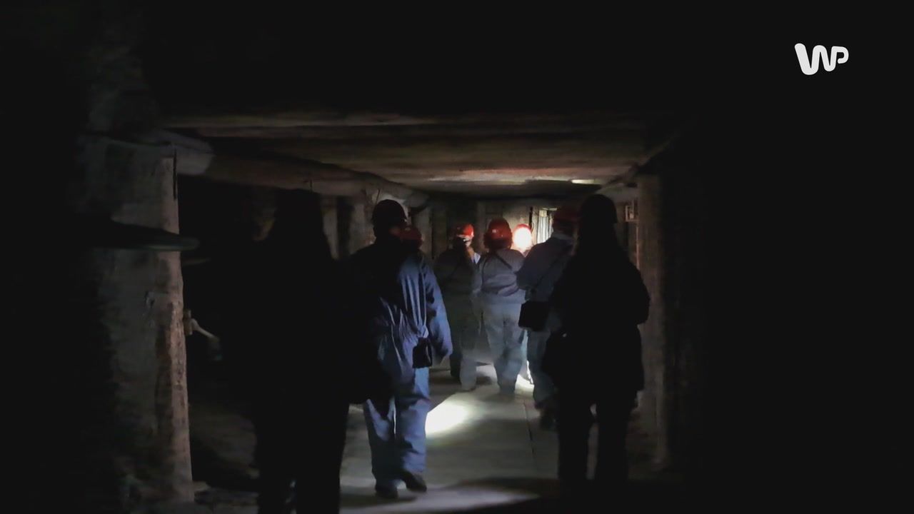 Fenomen na skalę światową. "To nie tylko zwiedzanie"