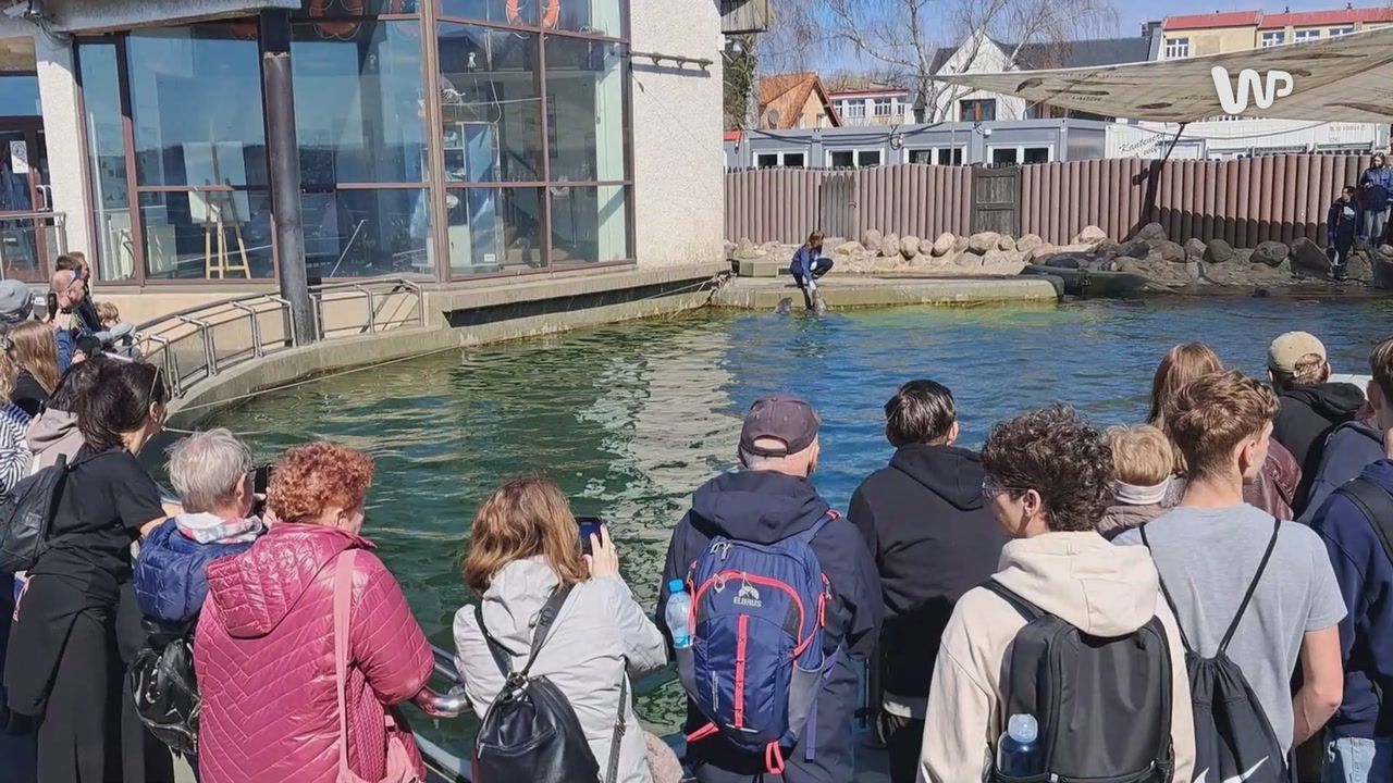 Wyjątkowe miejsce w Polsce. "Codziennie mamy kilka zgłoszeń"