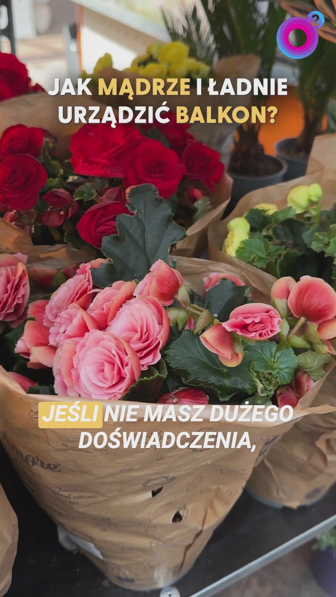 Nie tylko pelargonie. Z tych roślin stworzysz efektowną kompozycję na balkon
