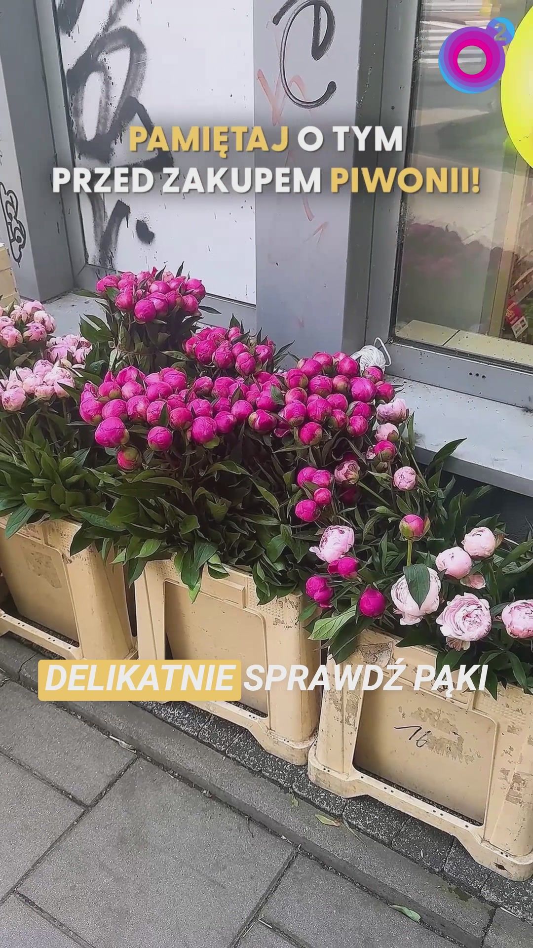 Chcesz, żeby piwonie stały dłużej? Zrób 6 tych rzeczy