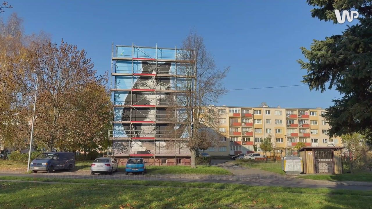 Wyjątkowy mural w polskim mieście. Powstała na cześć kota