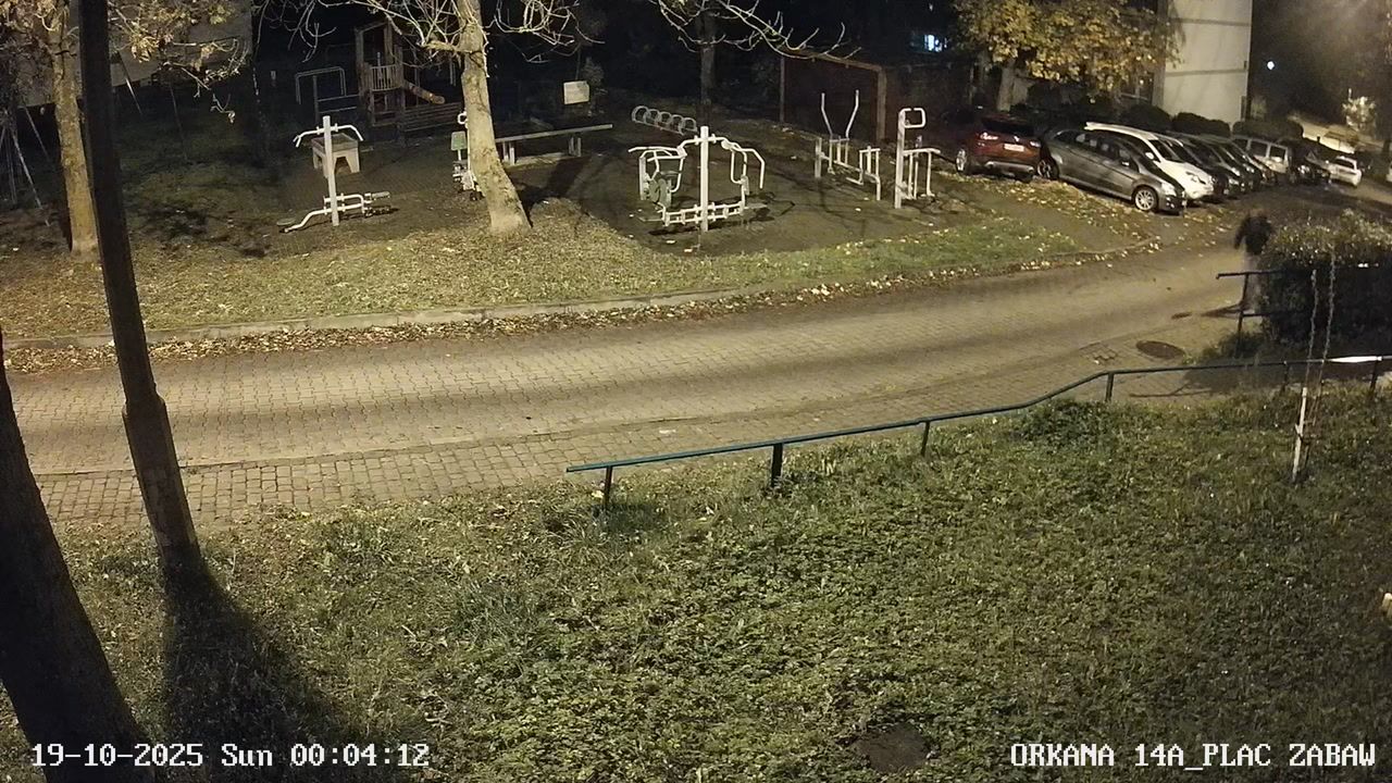 Zaatakował o północy. Policja publikuje wizerunek