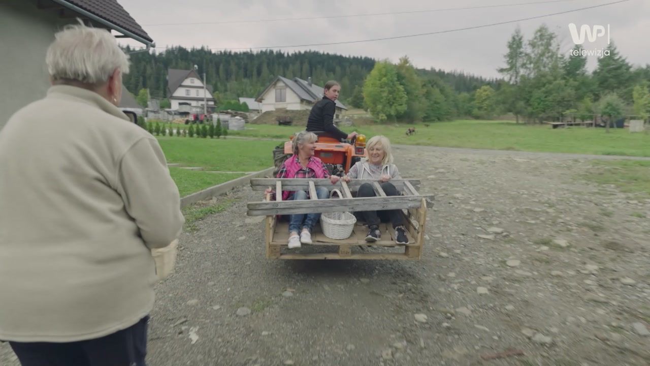 "Podwiózł je" po śliwki. "Trzeba było wprowadzić trochę adrenaliny