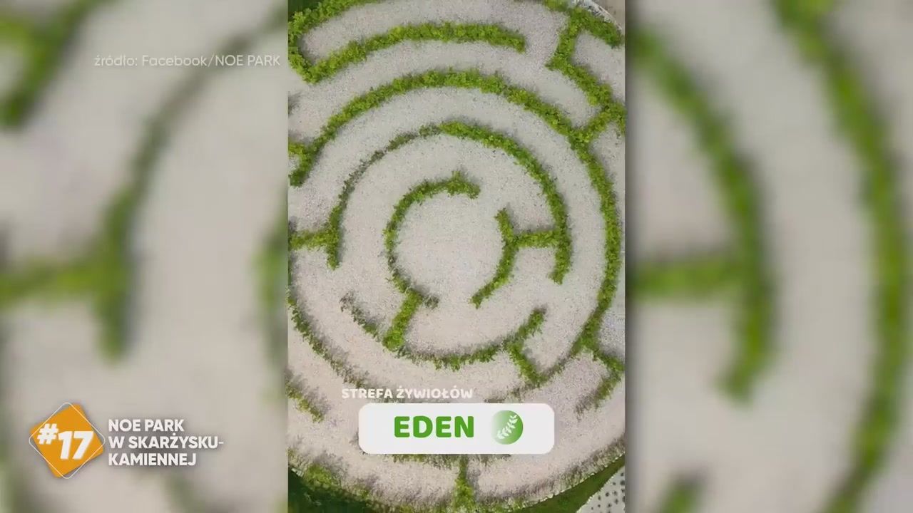 Niezwykłe miejsce w Skarżysku-Kamiennej. Prawdziwa perełka