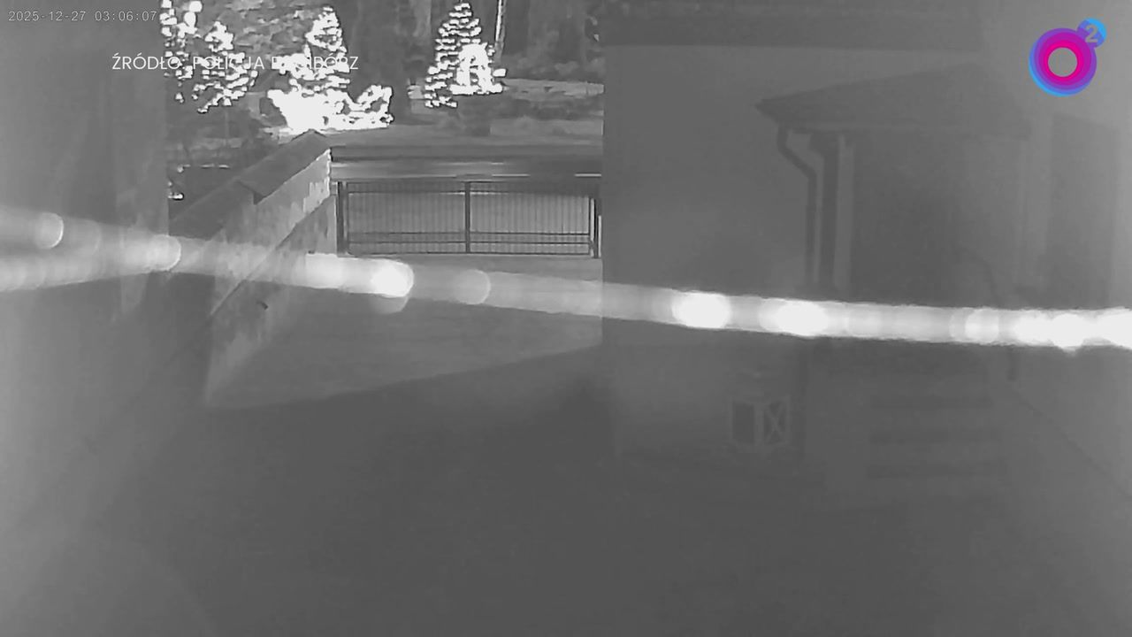 Była godz. 3 w nocy. Przeszkadzały im sanie i renifer