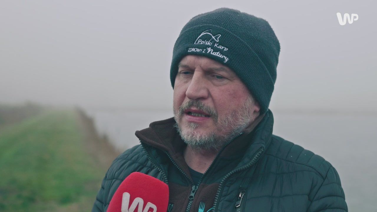 Czy karp śmierdzi mułem? Pojechaliśmy do hodowli ryb, by to sprawdzić