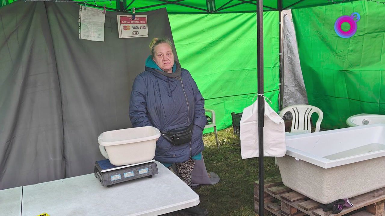 "Sadyzm"? Żywe karpie w wannie. Pokazała zezwolenie