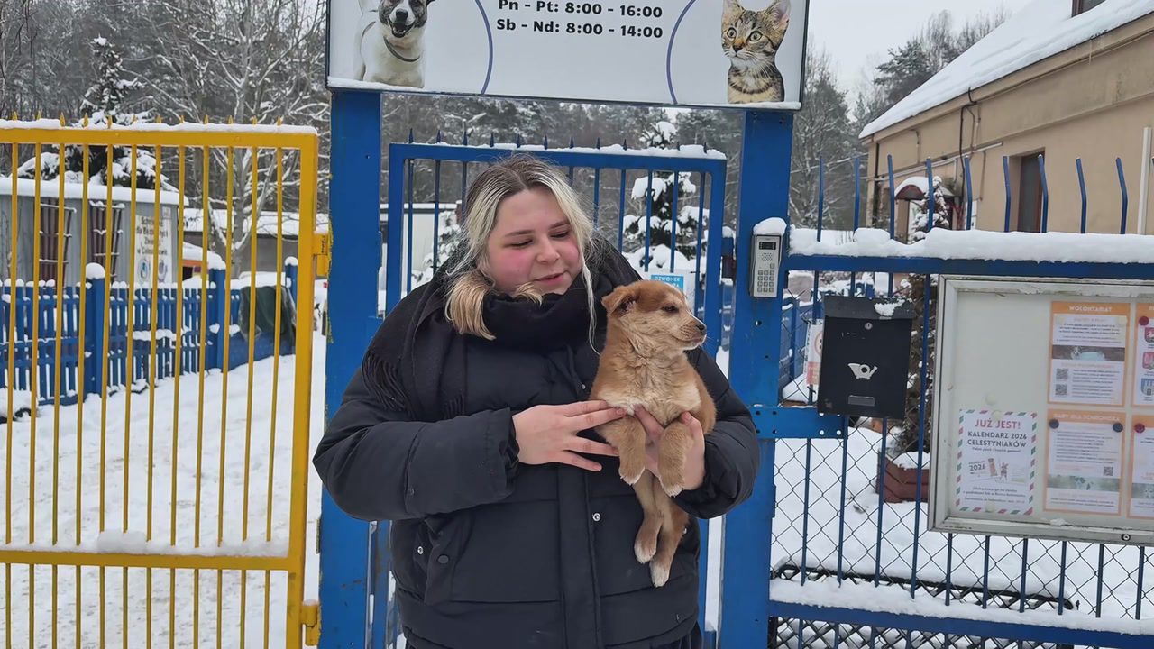 Byliśmy w schronisku. Takie warunki mają psy zimą