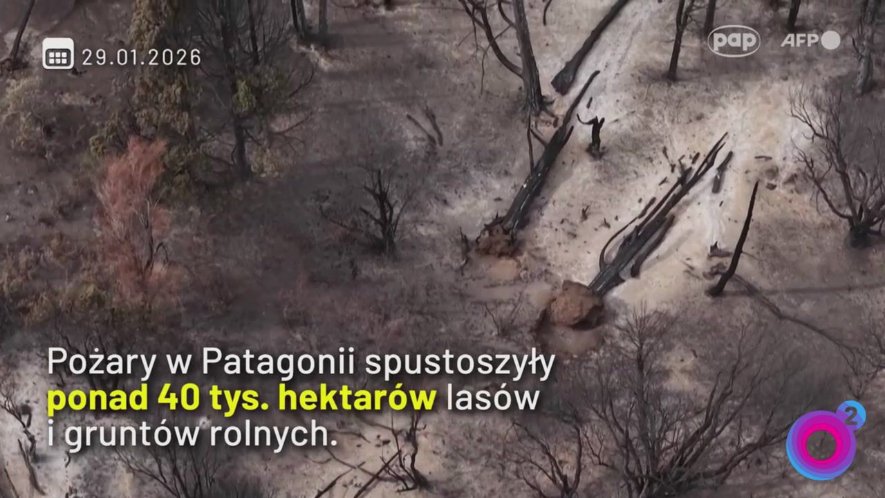 Koszmarne pożary w Patagonii. Poruszające słowa strażaka