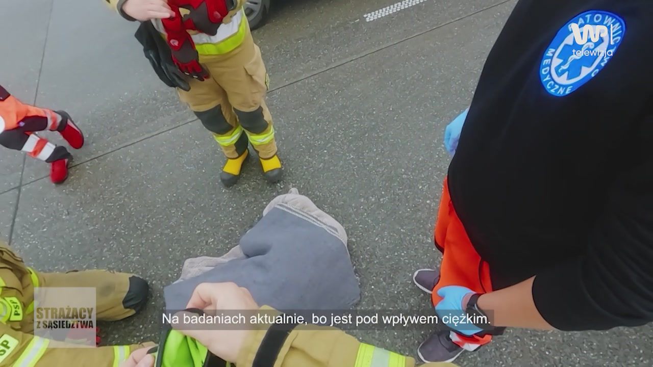 Ranny pies leżał na jezdni. Ten widok chwyta za serce