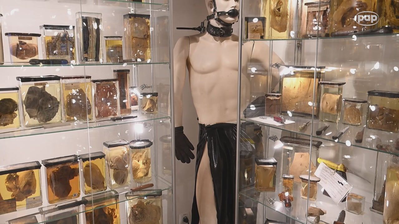 Unikatowe muzeum we Wrocławiu. Jedyne takie miejsce w Polsce