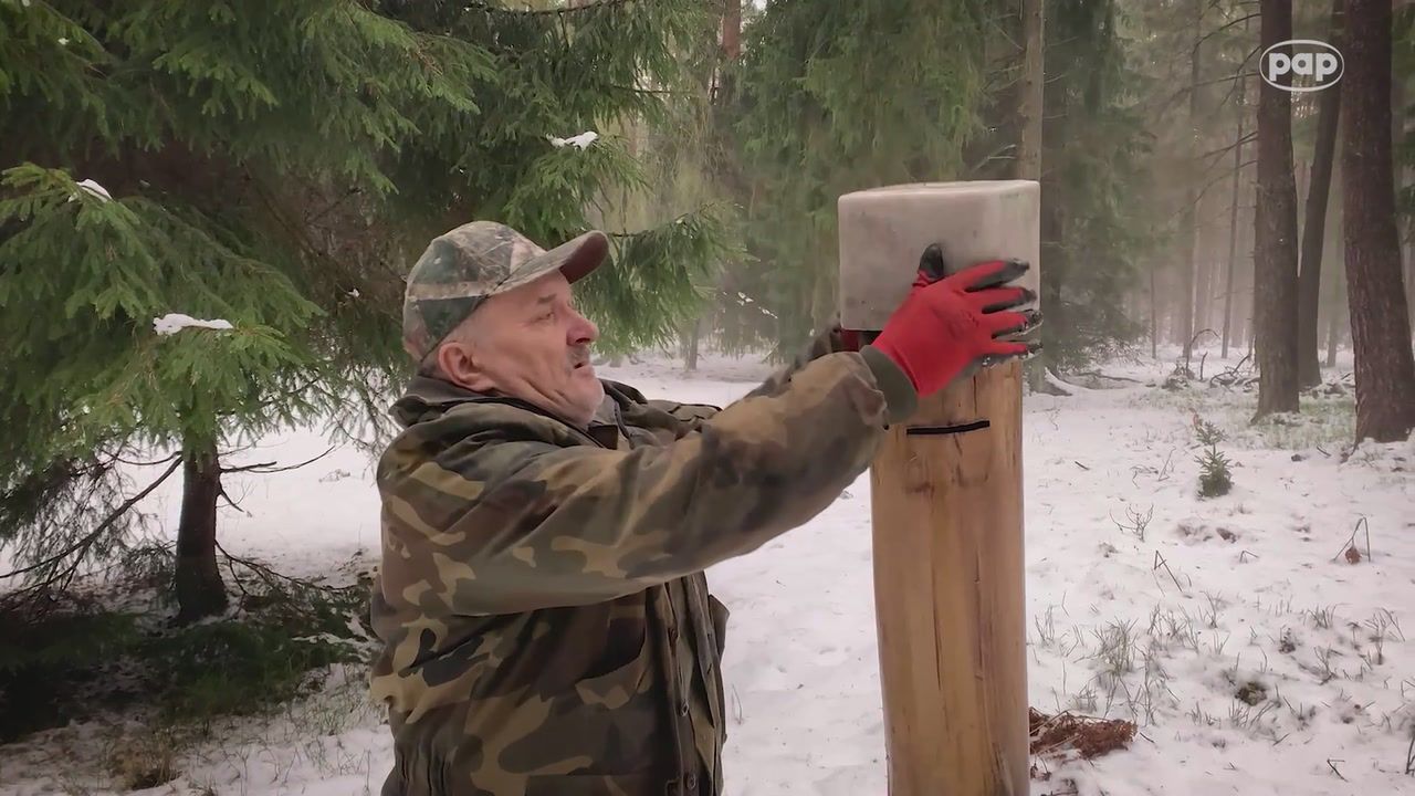 Jak pomagać zwierzętom zimą? Ekspert przypomina o błędach
