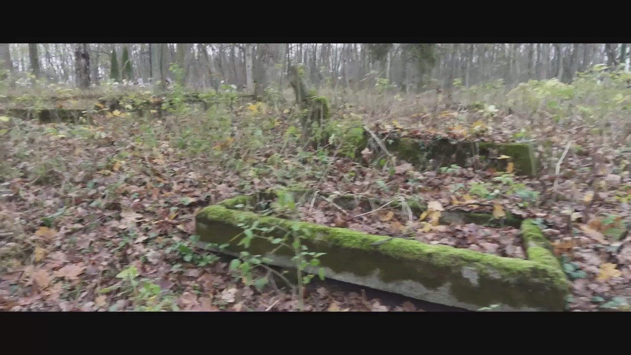 "Aż sam nie wierzę". Kopał pod zrujnowaną amboną, niesamowite odkrycie w Polsce