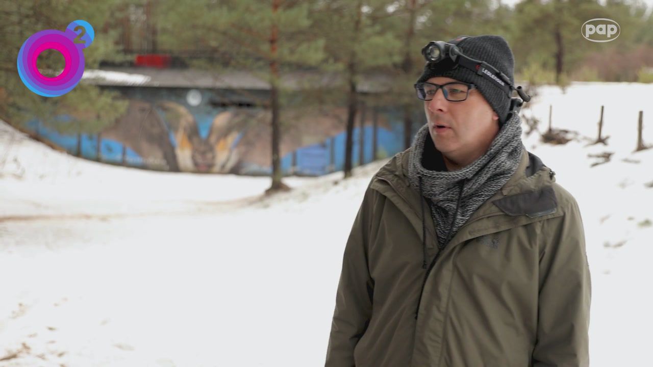 Zamieszkały w przeciwatomowym bunkrze. Naukowcy je policzyli